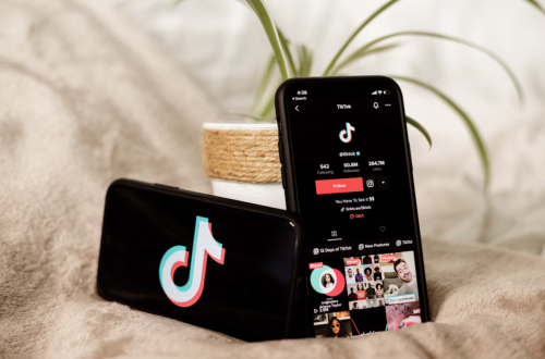 TikTok training Programme