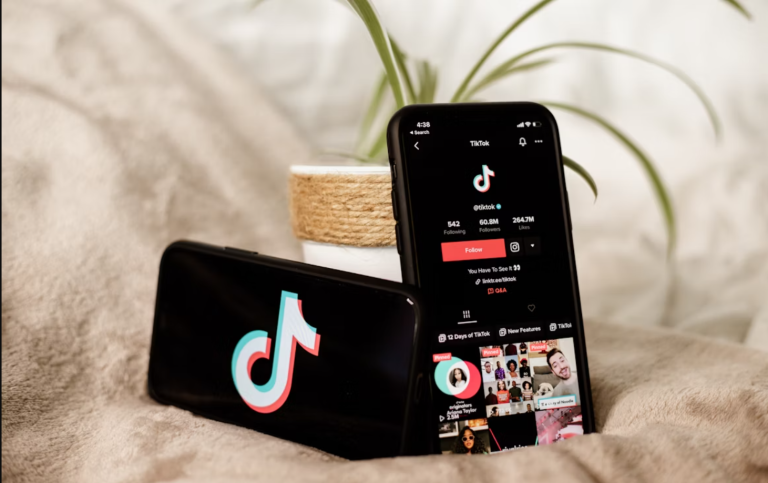 TikTok training Programme