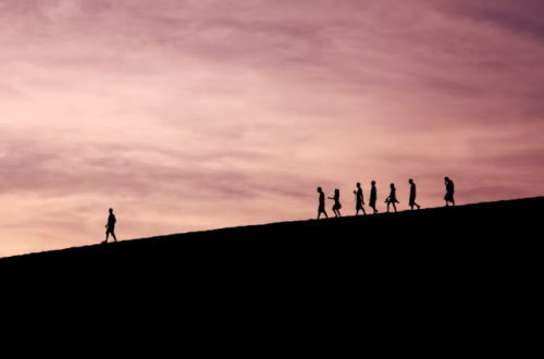 leardership and management